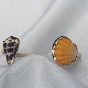 14k gold filled sunrise shell and hebrew cone shell adjustable cuff bracelet