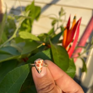 14k & 10k solid gold hebrew cone shell ring size 6