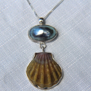 Sterling silver sunrise shell and nautilus osmena pearl pendant necklace