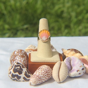 Peut inclure: Une bague dorée avec un coquillage en forme d'éventail présentant un dégradé de couleurs orange, rose et blanc. La bague est présentée sur un support conique beige, entourée de divers coquillages naturels sur un tissu blanc.