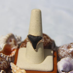 Pode incluir: Um anel de dente de tubarão com um dente cinza escuro em uma banda de metal dourado. O anel é exibido em um suporte de anel bege, cercado por conchas. Uma joia única.