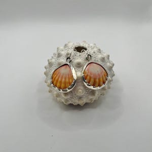 Sterling silver sunrise shell bezel wrapped earrings
