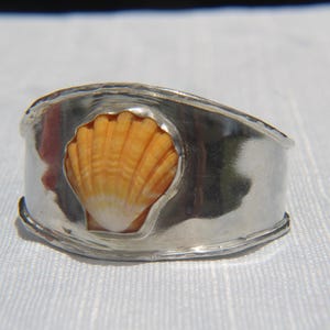 May include: A silver-toned cuff bracelet featuring a natural seashell. The shell is a warm orange and white color, set in the center of the bracelet. The bracelet has a hammered texture.