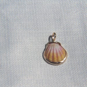 May include: A small pendant featuring a natural scallop shell with yellow and pink radial stripes, encased in a smooth gold-toned metal rim with a small circular bail at the top for attachment to a chain or cord.