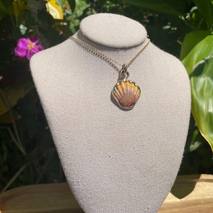 14k gold filled orange and pink sunrise shell pendant necklace bezel wrapped