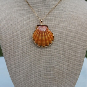 May include: A gold-toned necklace featuring a pendant shaped like a seashell. The shell pendant has a gradient of colors, transitioning from pink to orange. The necklace is displayed on a neutral-toned mannequin.