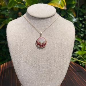14k solid gold red sunrise shell pendant necklace bezel wrapped