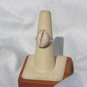 May include: A silver ring featuring a central oval cowrie shell with a distinct brown slit down the middle. The metal band has a textured, hammered finish, and the shell is securely set within a smooth, polished silver bezel setting.