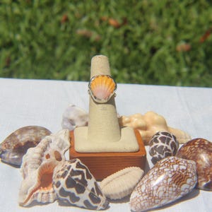 May include: A ring featuring a small, fan-shaped seashell with a gradient of orange and white colors. The shell is set in a silver-toned metal band. The ring is displayed on a beige, cone-shaped jewelry stand, surrounded by various seashells.