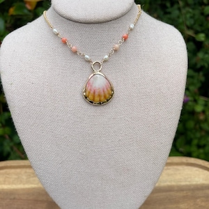 14k gold filled yellow sunrise shell pendant necklace bezel wrapped with coral gemstones and pearls