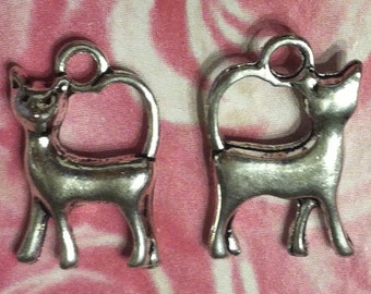 Cat Charms - 4 pc. -  Regal Cat - 3D Cat - Kitty Charms -  Antique Silver - Tibetan Charms - Animal Charms