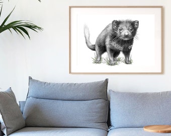 Tassie Devil Sketch, Large A2 Art Print, Poster by flossy-p. Australian animal, gift.