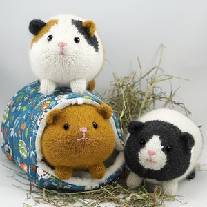 Garden-Variety Guinea Pigs Knitting Pattern