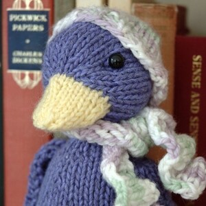 Modèle de tricot Silly Duck image 1