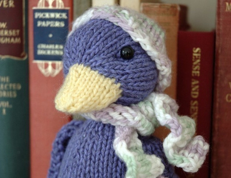 Modèle de tricot Silly Duck image 1