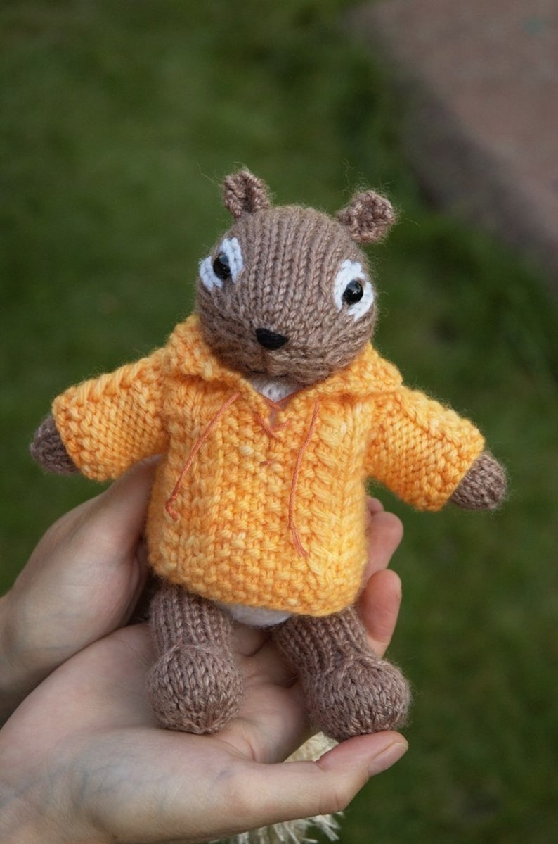 Chipmunk Knitting Pattern - Etsy UK