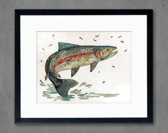 Rainbow Trout, II limited edition paper print