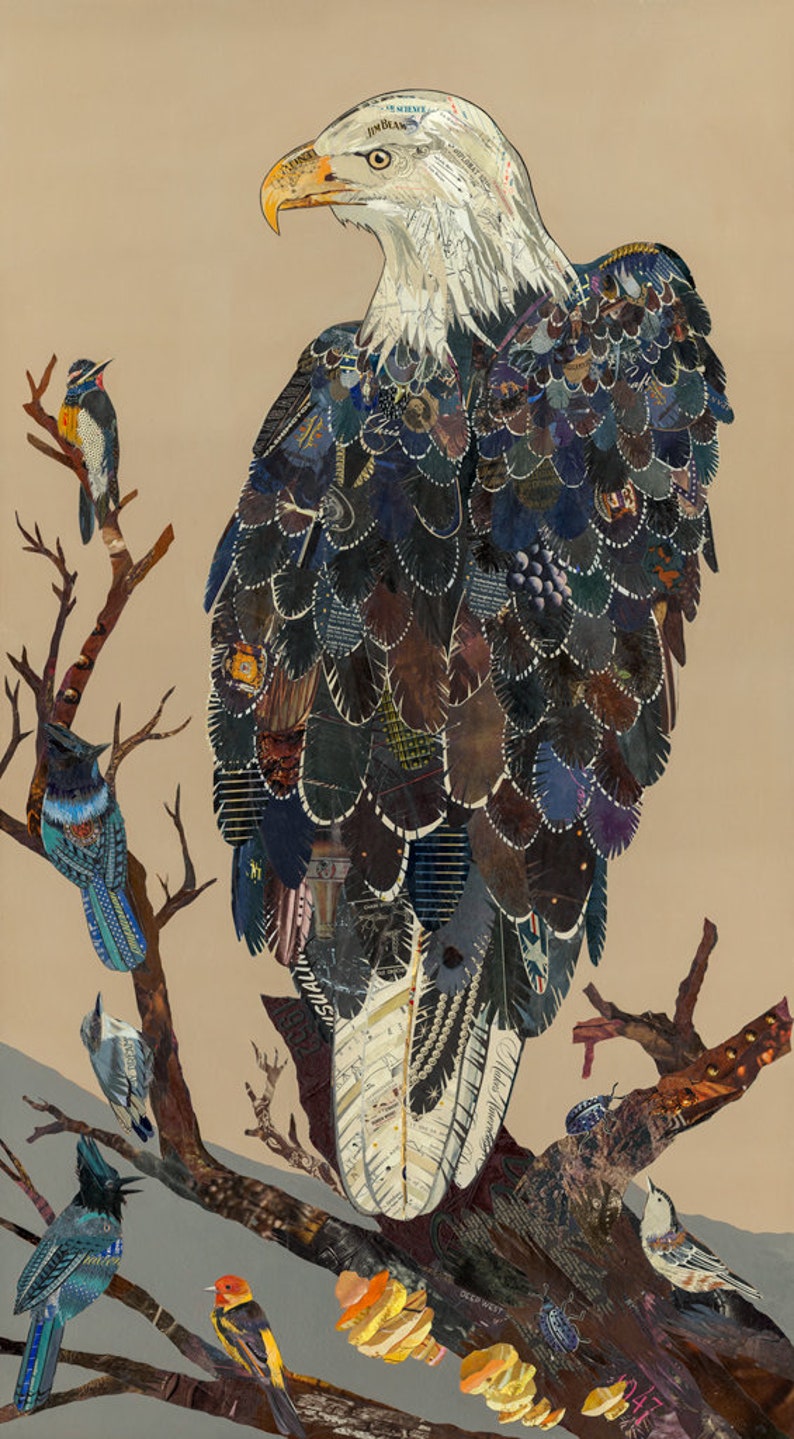 Download Bald Eagle Art Print Art Collectibles Prints Poligon Com