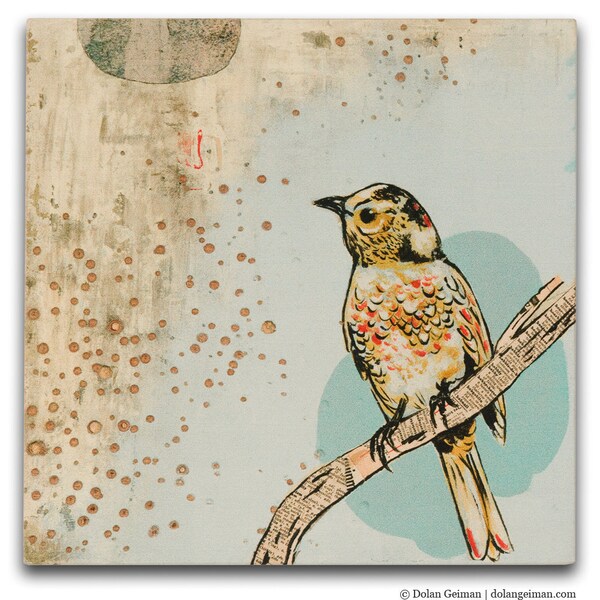 April Evening II Small Bird Art Print on Wood