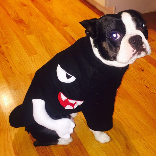 Dog Costumes Mario Etsy