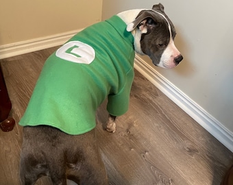 Luigi Shirt for Dogs sizes XS to XL