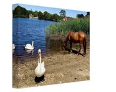 Beaulieu, New Forest, Hampshire, UK - Original Photography Canvas - 20x25cm