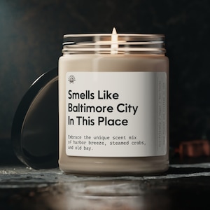 Smells Like Baltimore City In This Place Soy Candle, Harbor Breeze Scent, Baltimore Maryland Candle, Unique City Smell Candle, 9oz Candle