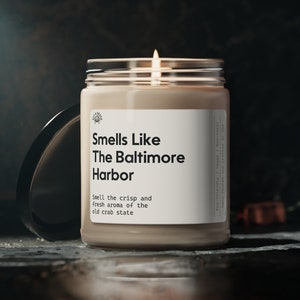 Baltimore Harbor Candle, Moving Gift, Housewarming Present, Unique Maryland Memento, Sea and Crab State, Soy Wax 9oz Candle