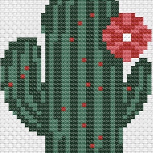 May include: A green cactus with red flowers on top. The cactus has a striped pattern and is in a white pot.
