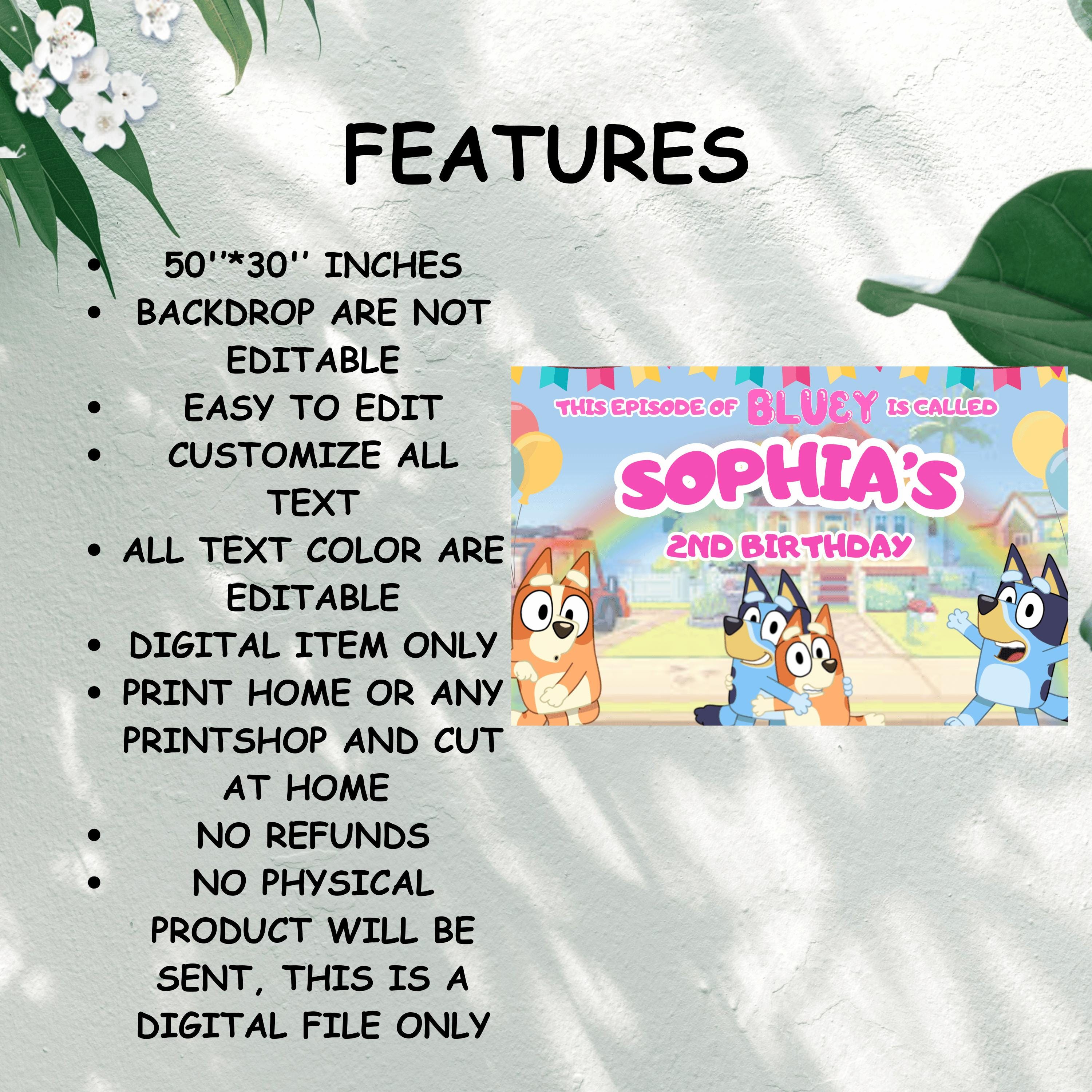Bluey Birthday Party Banner
