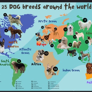 Hundeweltkarte / Eine Weltkarte der Hunderassen / Hunderassen auf der ganzen Welt / Lernkarte von Hunden / Landkarte von Hunden / Hundekarte / Welthundekarte / Tierkarte
