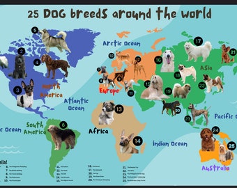 Dog World Map/ A world map of dog breeds/ Dog breeds across the world/ Educational Map of dogs/Map of dogs/Dog map/ World dog map/Animal map