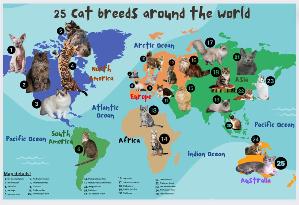 World Map of Cat Breeds Around the World/ Different Cat Breeds in the