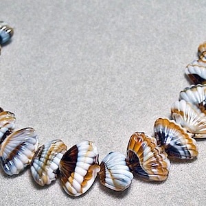 Summers on the Shore- Murano style shell beads-glass shell beads-beach style beads-designer beads-brown/white/amber beads-focal shell beads