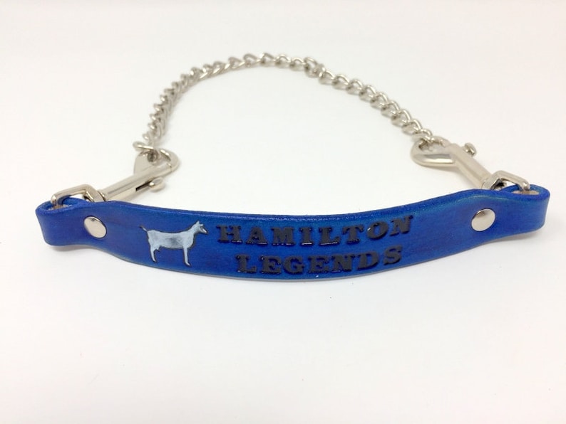Pu&ograve; includere: Cinturino in pelle blu con una catena argentata e due fibbie. Il cinturino presenta una silhouette di capra bianca e il testo "HAMILTON LEGENDS" in rilievo nero.