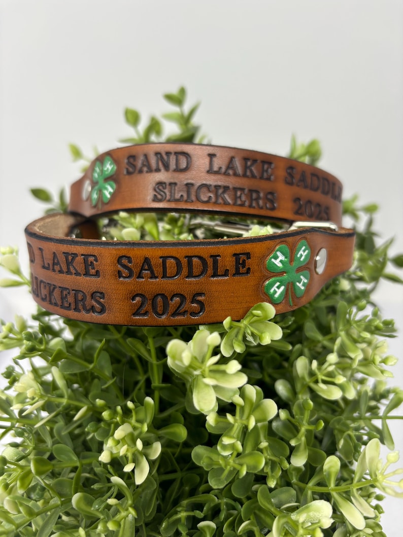 4-H Goat Collar Custom Made to Order | Personalize it for your Goat or Club image 3