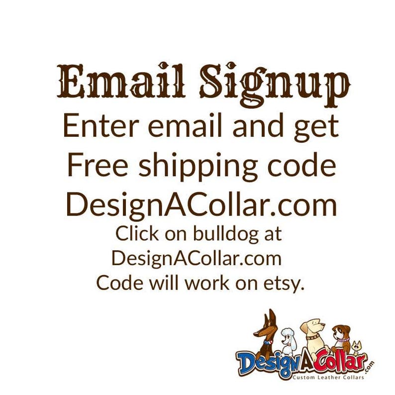 Dog Collar Leather Small Dog Collar and Leash with peacock design