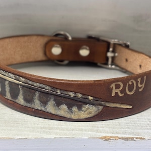 May include: A brown leather dog collar with a feather design and the name "ROY" engraved in gold. The collar features a silver buckle and metal hardware. The feather design has brown, tan, and white accents.