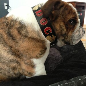 Marine Corps Dog Collar USMC Dog Collars Black Collar - Etsy