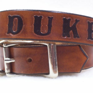 Personalized Brown Leather Dog Collar - Big Dog Collar - Large Dog Collar for necks over 20"- 1" wide