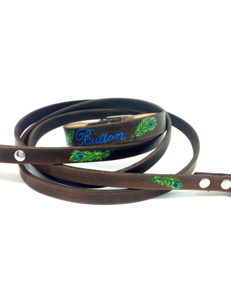 Dog Collar Leather Small Dog Collar and Leash with peacock design