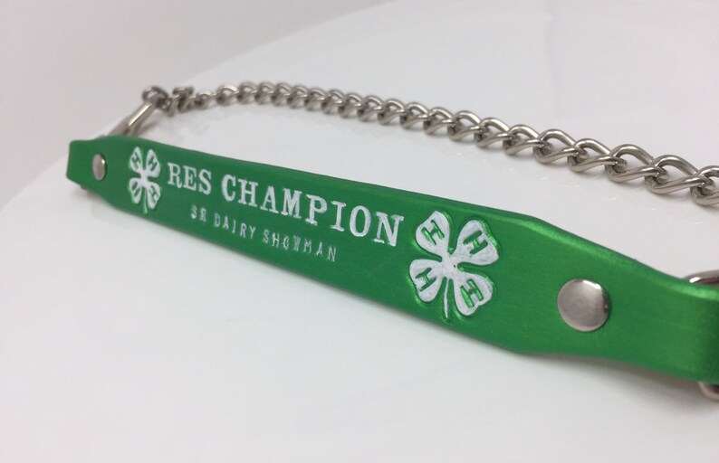 May include: Green leather showmanship halter with a silver chain and a white 4-H clover emblem. The halter has the text "RES CHAMPION SR DAIRY SHOWMAN" embossed in white.