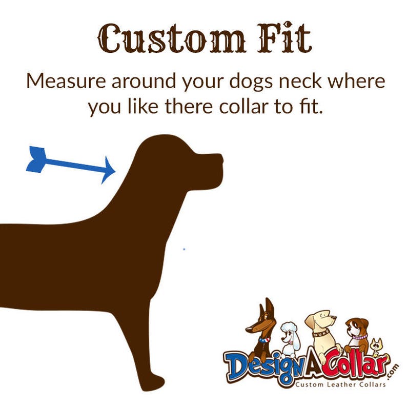Collare per cani con bandiera americana personalizzato con nome di cane con colore di base in pelle color crema invecchiato immagine 5