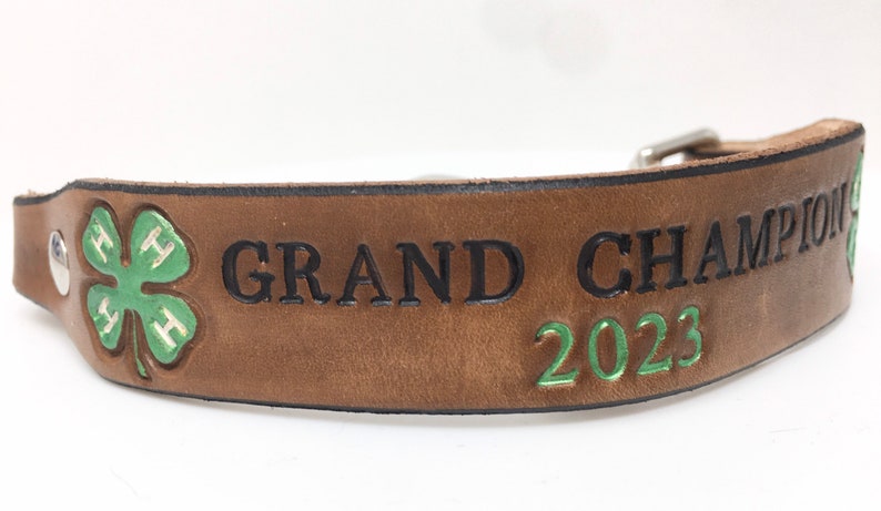 4-H Goat Collar Custom Made to Order | Personalize it for your Goat or Club image 4