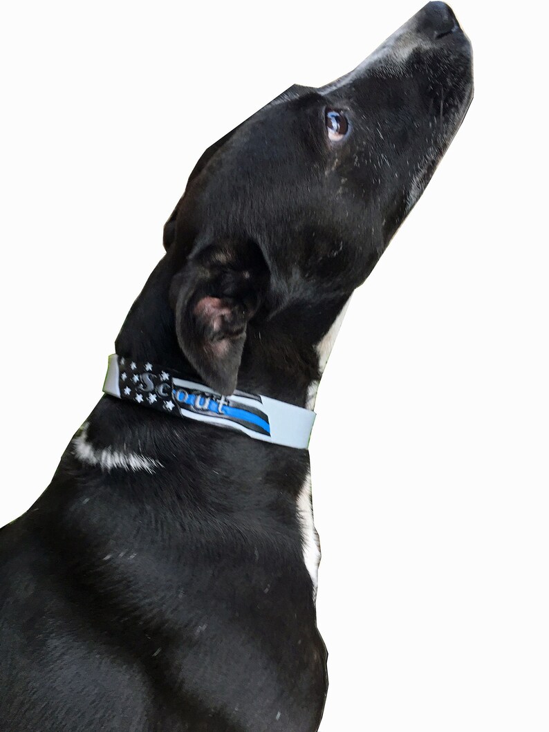 Thin blue line dog collar, leather personalized collar image 1