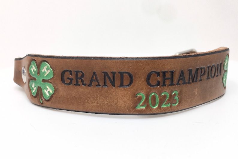 4-H Goat Collar Custom Made to Order, Personalize it for your Goat or Club image 2