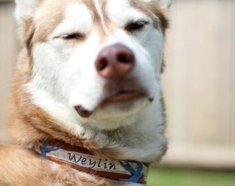 Op de afbeelding: Een close-up van een Husky-hond met bruin en wit haar, met een halsband met de naam "Weylin" in blauwe tekst. De ogen van de hond zijn gesloten en hij lijkt in het zonlicht te knijpen. De halsband heeft een bruin en blauw ontwerp.