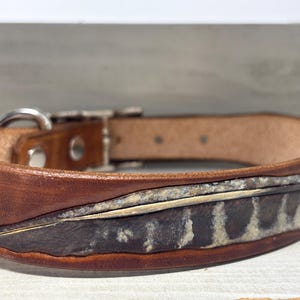 May include: A brown leather dog collar with a decorative feather design. The collar features a silver-colored buckle and hardware. The feather design incorporates shades of brown, gray, and cream, adding a rustic touch to the accessory.