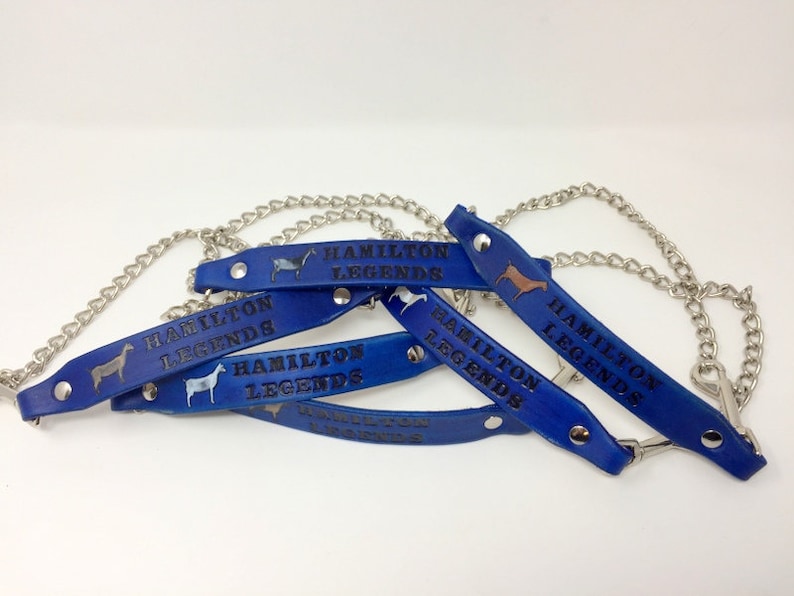 Pu&ograve; includere: Quattro cinturini in pelle blu con fibbie in metallo argentato e una catena argentata. Ogni cinturino ha il testo "Hamilton Legends" e una piccola silhouette di un cavallo.