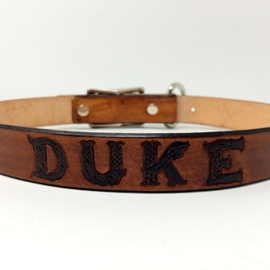 Dog Collar Leather Personalized with Name and/or Phone Number Celtic Font image 1